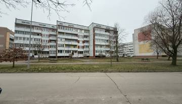 IMG_6650 1 Large.jpeg